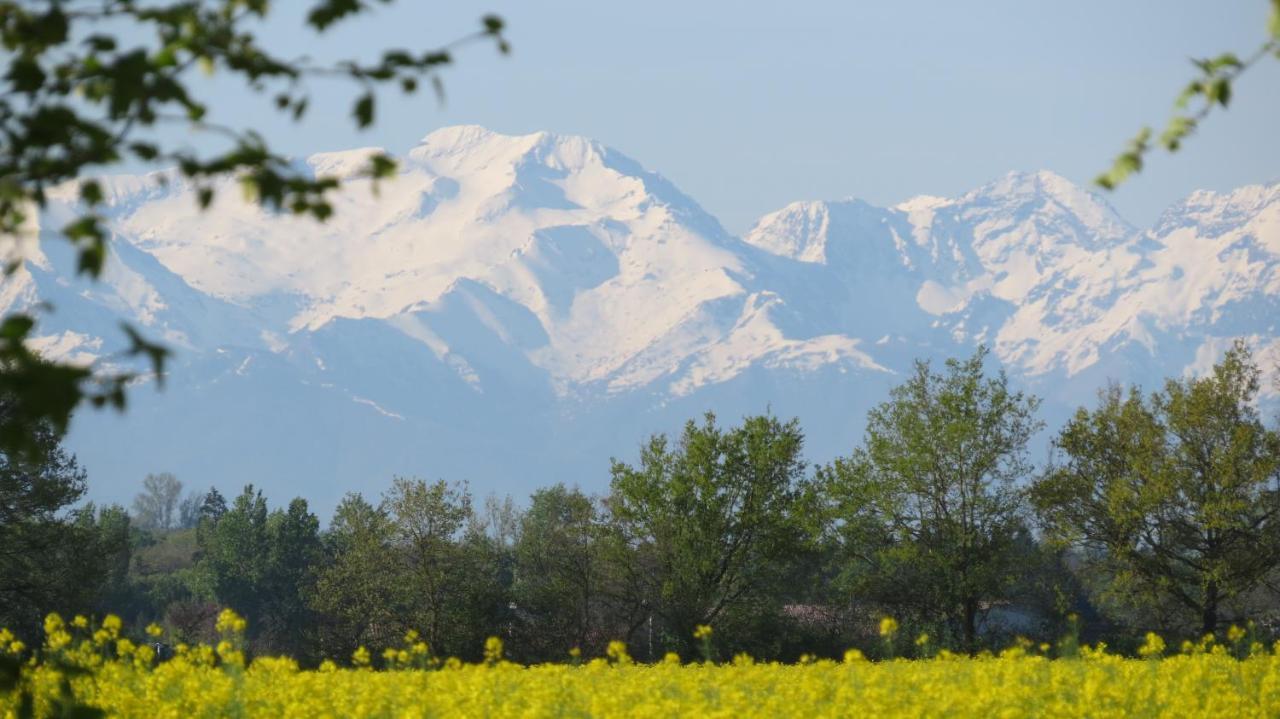 Gite La Tourasse Les Tournesols Lamasquere المظهر الخارجي الصورة